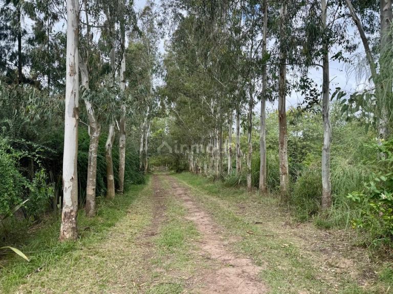 Terreno en Venta en La Plata, G.B.A. Zona Sur