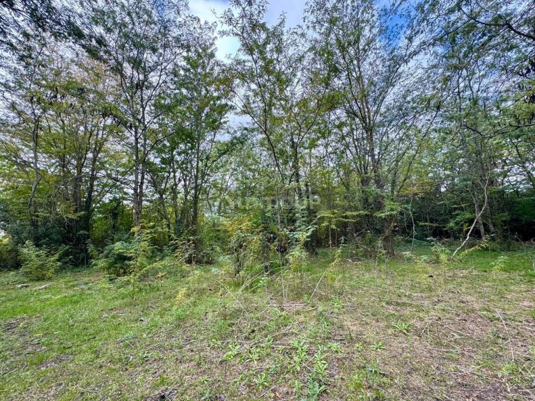 Terreno en Venta en La Plata, G.B.A. Zona Sur