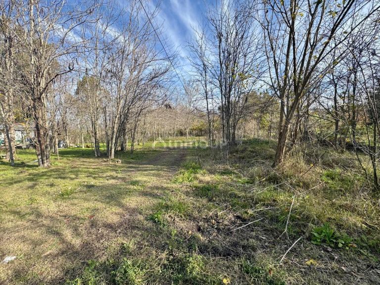 Terreno en Venta en La Plata, G.B.A. Zona Sur