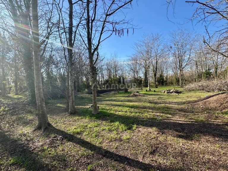 Terreno en Venta en La Plata, G.B.A. Zona Sur
