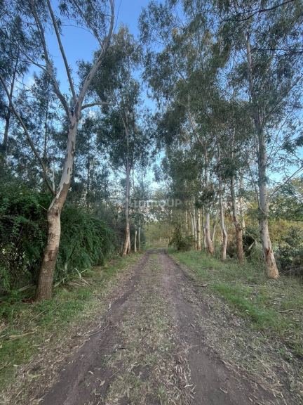Terreno en Venta en La Plata, G.B.A. Zona Sur