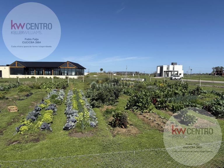 Terreno en Venta en San Vicente, G.B.A. Zona Sur