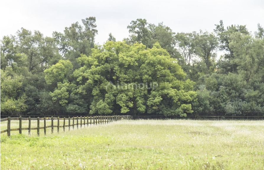 Terreno en Venta en Pilar, G.B.A. Zona Norte