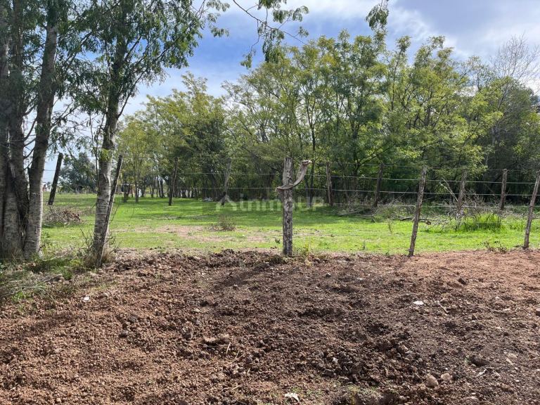 Terreno en Venta en La Plata, G.B.A. Zona Sur
