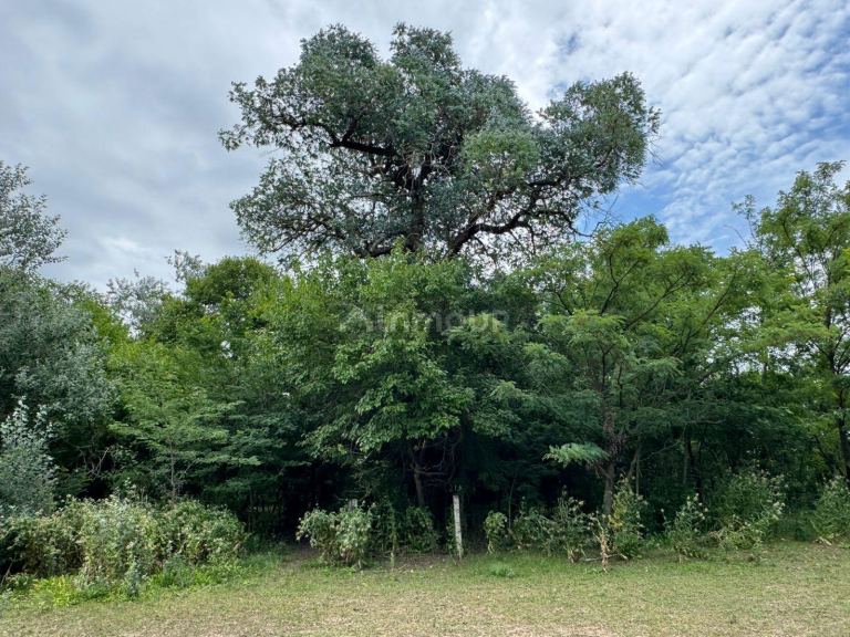 Terreno en Venta en La Plata, G.B.A. Zona Sur