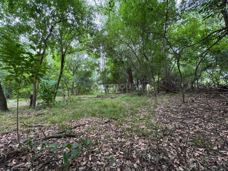 Terreno en Venta en La Plata, G.B.A. Zona Sur