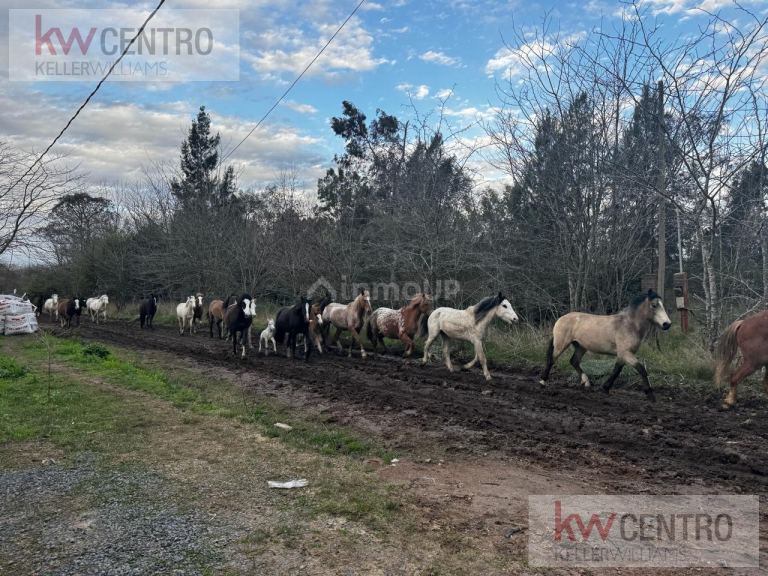 Terreno en Venta en La Plata, G.B.A. Zona Sur