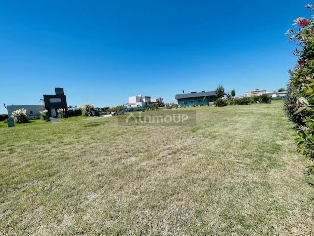 Terreno en Venta en Presidente Peron, G.B.A. Zona Sur