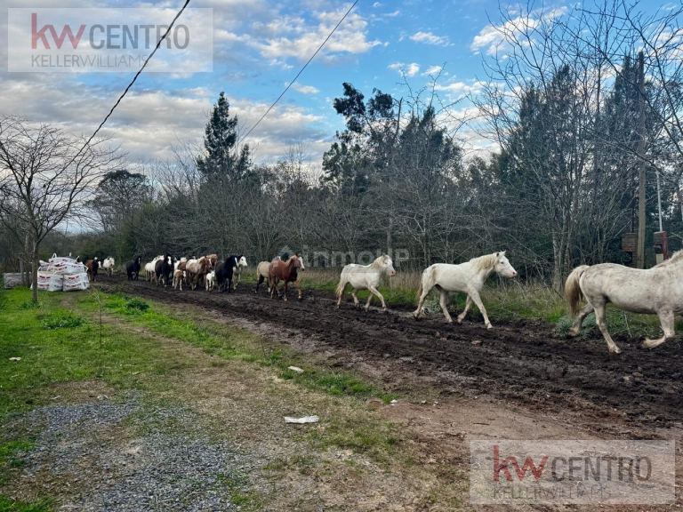 Terreno en Venta en La Plata, G.B.A. Zona Sur