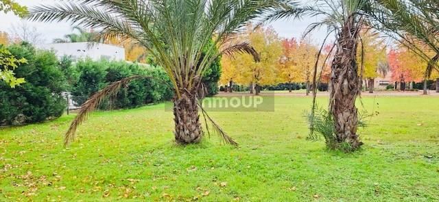 Terreno en Venta en Cañuelas, G.B.A. Zona Sur