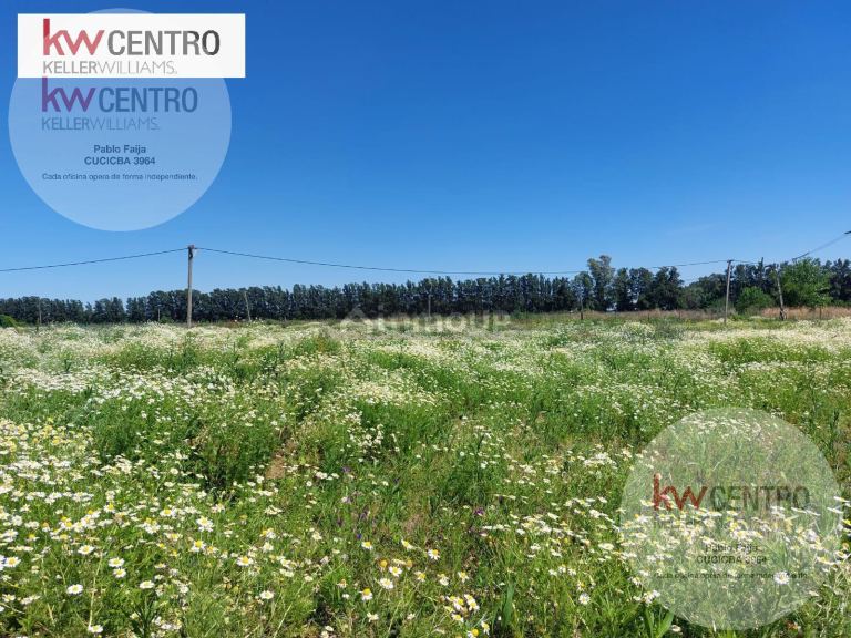 Campo en Venta en Berazategui, G.B.A. Zona Sur