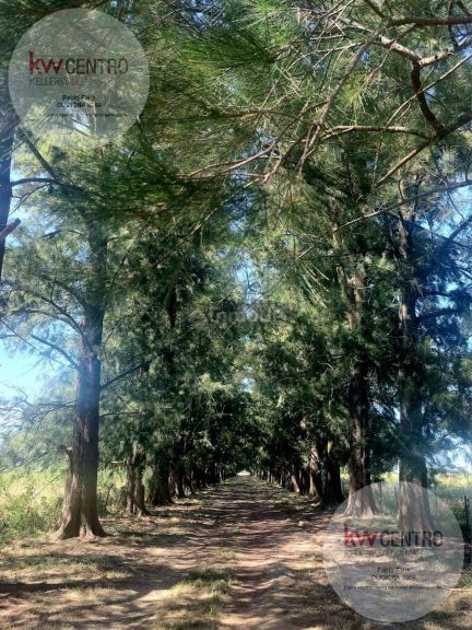 Campo en Venta en Berazategui, G.B.A. Zona Sur