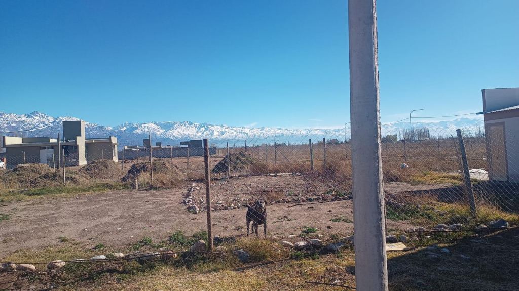 Lote en Venta en San Carlos, Mendoza