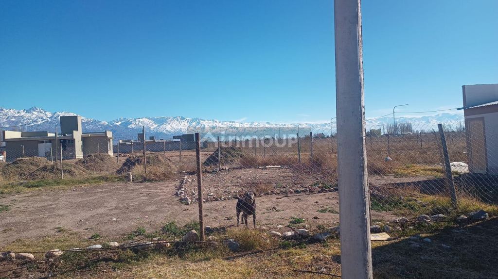 Lote en Venta en San Carlos, Mendoza