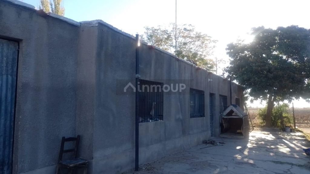 Finca en Venta en Rivadavia, Mendoza