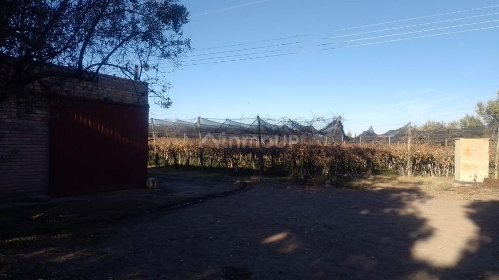 Finca en Venta en Rivadavia, Mendoza