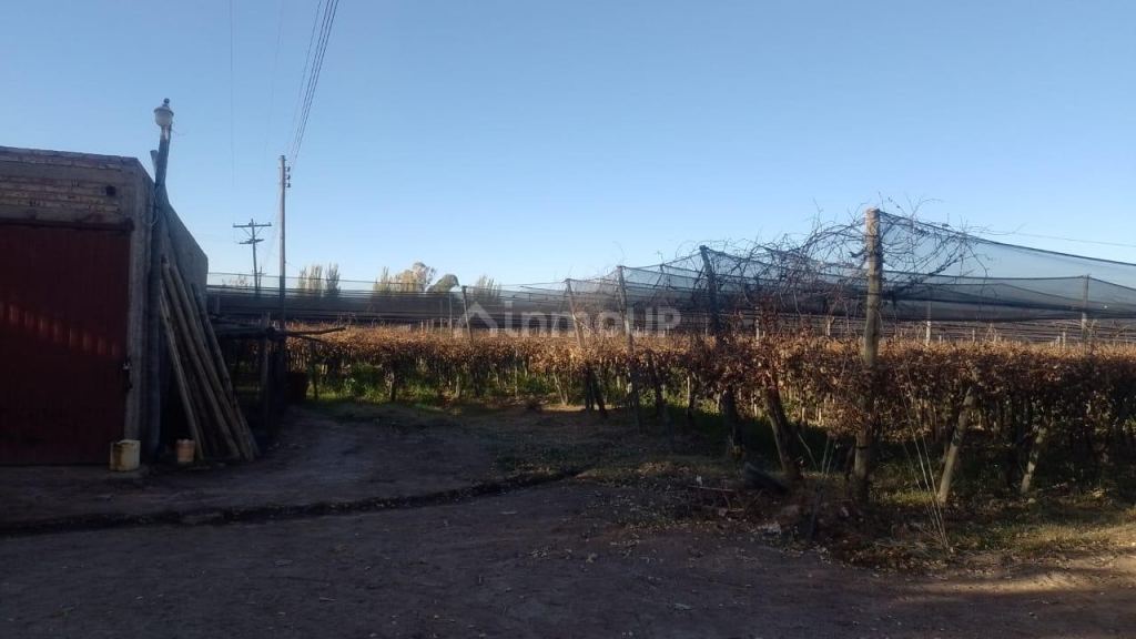 Finca en Venta en Rivadavia, Mendoza