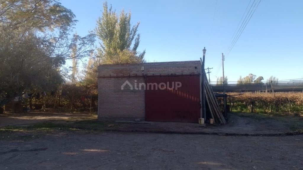 Finca en Venta en Rivadavia, Mendoza