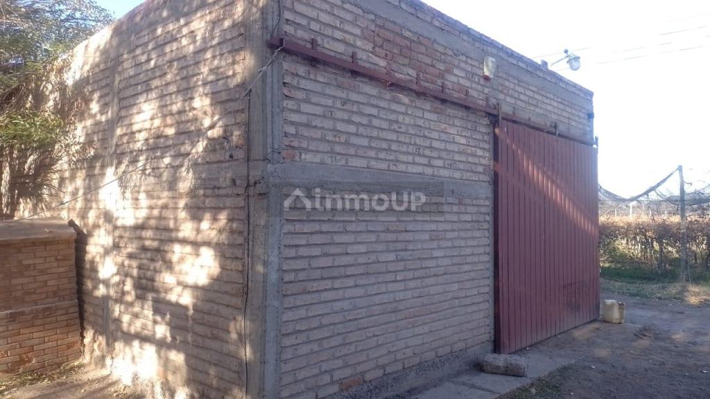 Finca en Venta en Rivadavia, Mendoza