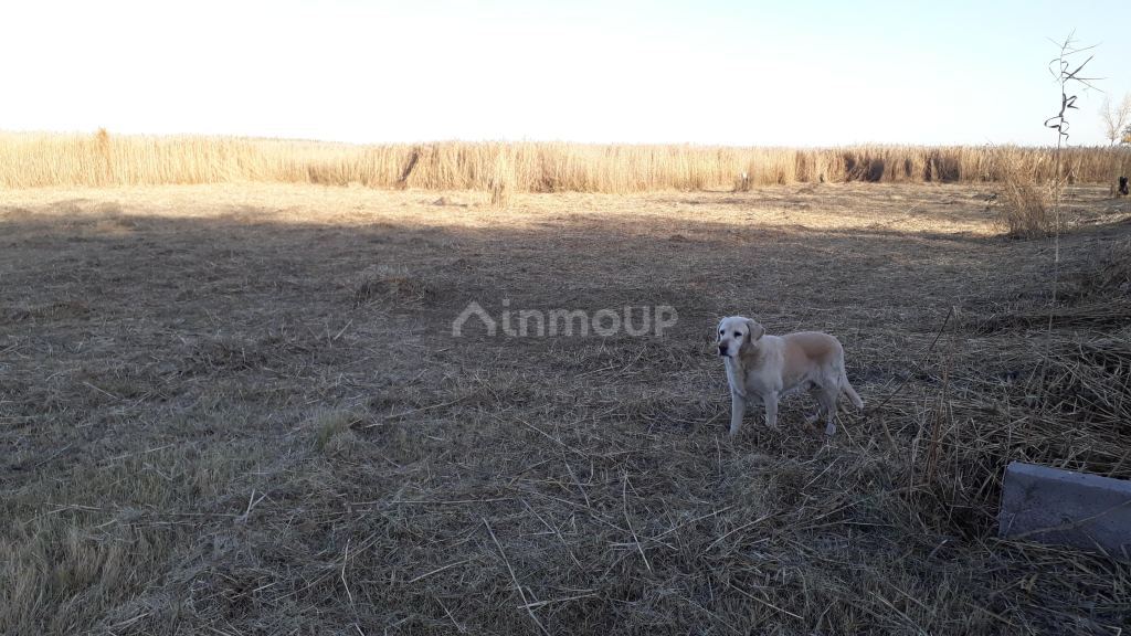 Lote en Venta en Guaymallen, Mendoza
