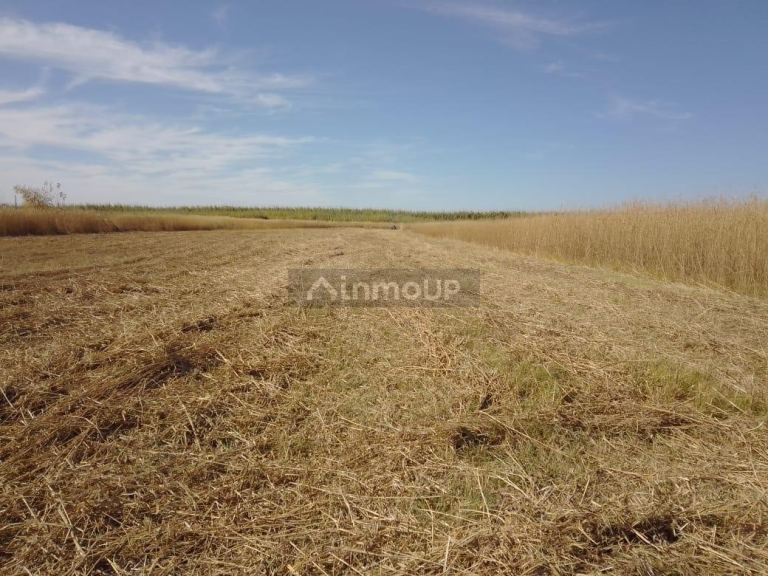 Lote en Venta en Guaymallen, Mendoza