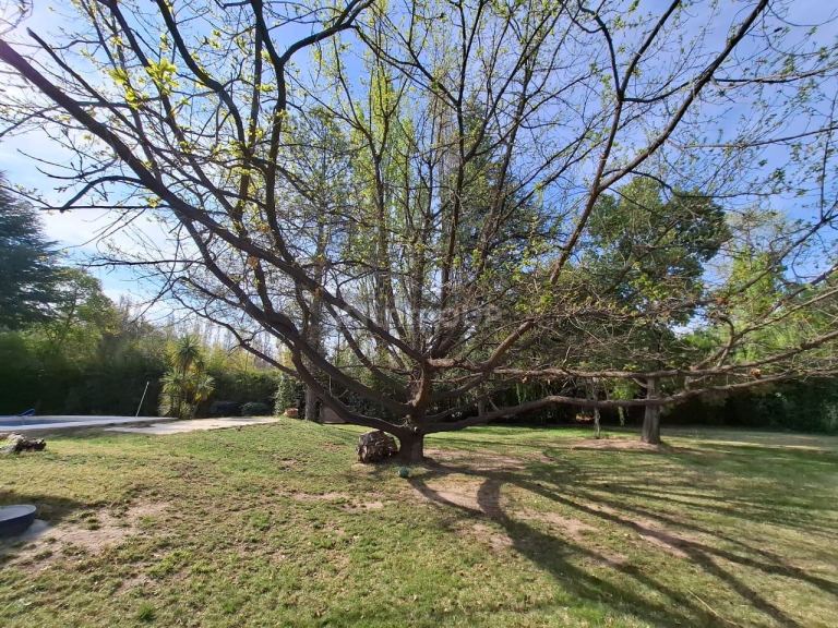 Lote en Venta en Lujan de Cuyo, Mendoza