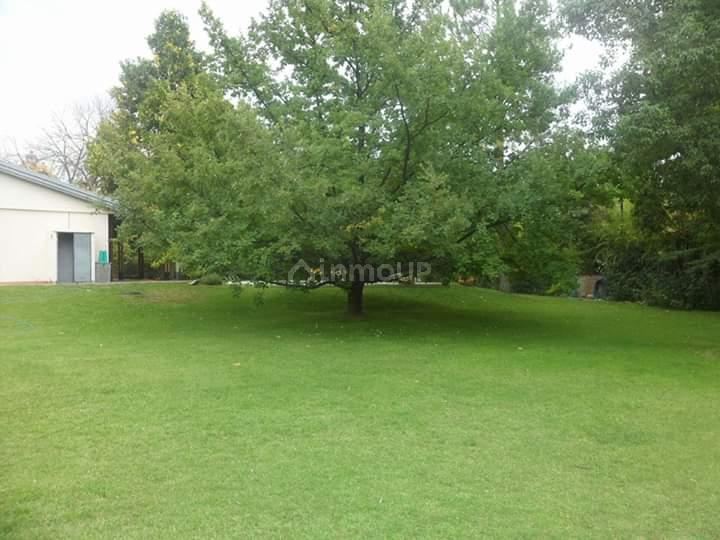 Lote en Venta en Lujan de Cuyo, Mendoza