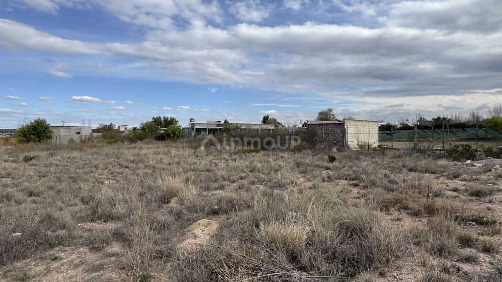 Lote en Venta en Lujan de Cuyo, Mendoza