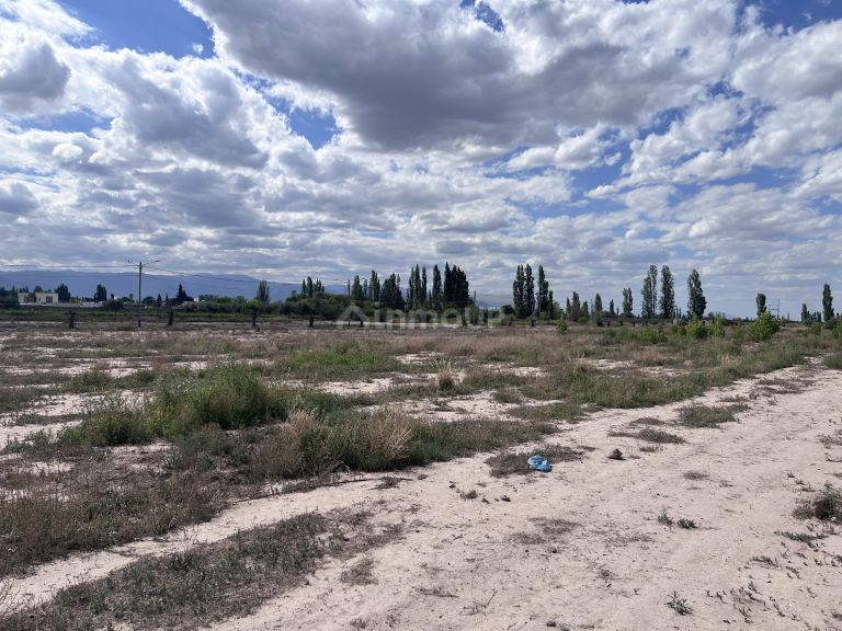 Lote en Venta en Lujan de Cuyo, Mendoza