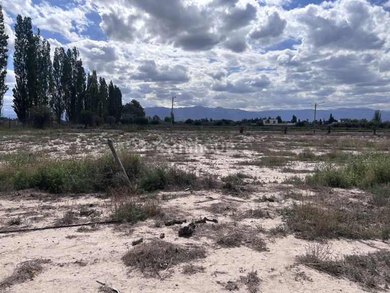 Lote en Venta en Lujan de Cuyo, Mendoza