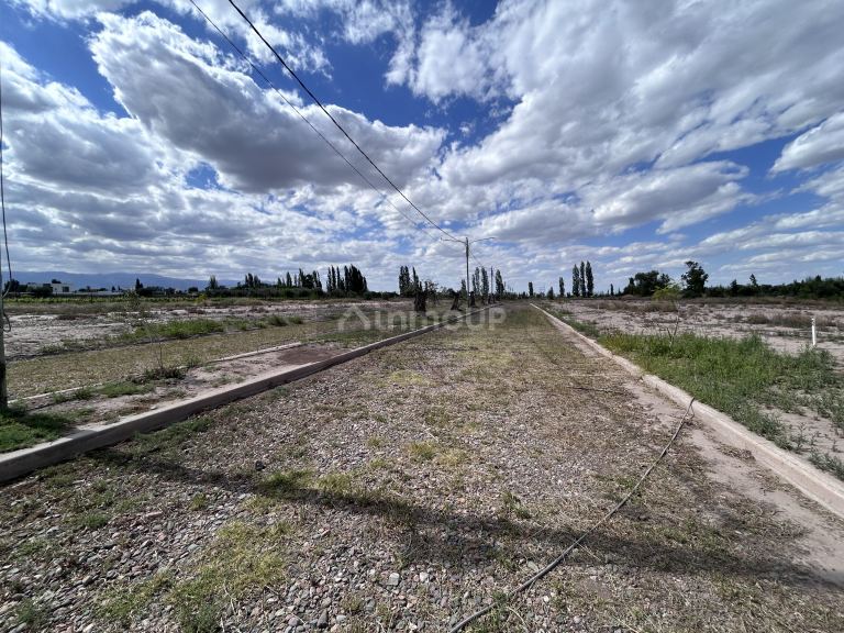 Lote en Venta en Lujan de Cuyo, Mendoza