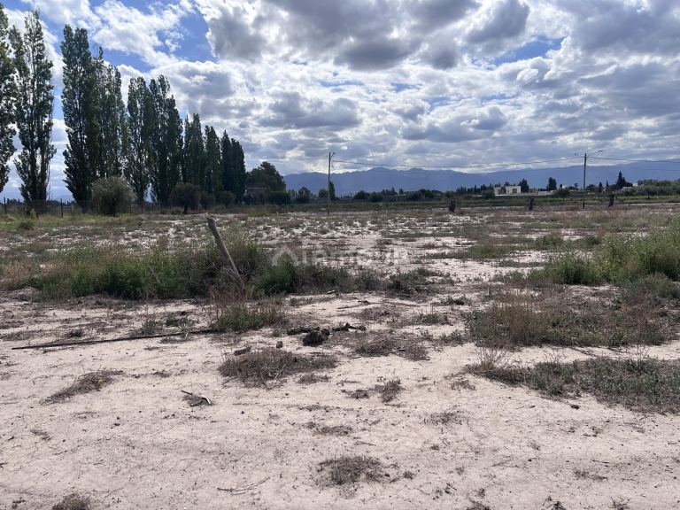 Lote en Venta en Lujan de Cuyo, Mendoza