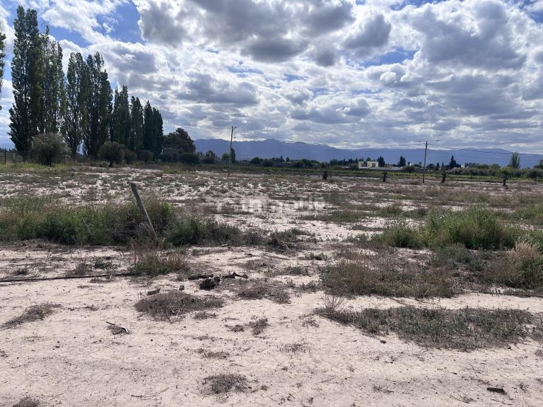 Lote en Venta en Lujan de Cuyo, Mendoza