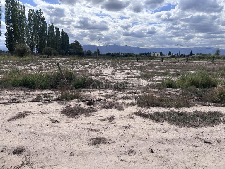 Lote en Venta en Lujan de Cuyo, Mendoza