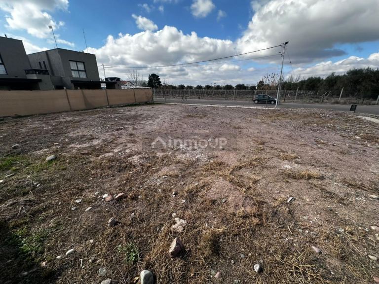 Terreno en Venta en Lujan de Cuyo, Mendoza