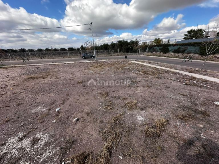 Terreno en Venta en Lujan de Cuyo, Mendoza