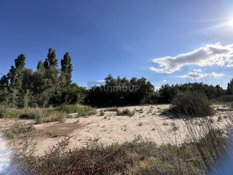 Lote en Venta en Lujan de Cuyo, Mendoza