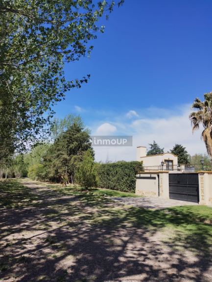 Lote en Venta en Lujan de Cuyo, Mendoza