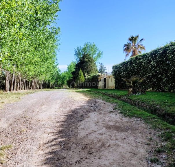 Lote en Venta en Lujan de Cuyo, Mendoza