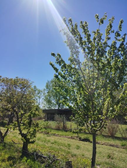 Lote en Venta en Lujan de Cuyo, Mendoza