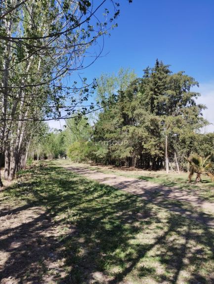 Lote en Venta en Lujan de Cuyo, Mendoza