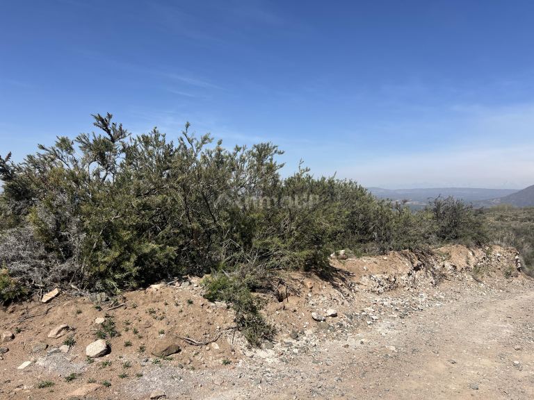 Lote en Venta en Lujan de Cuyo, Mendoza