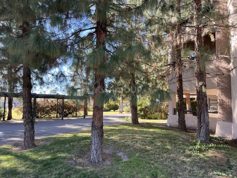 Departamento en Alquiler en Lujan de Cuyo, Mendoza
