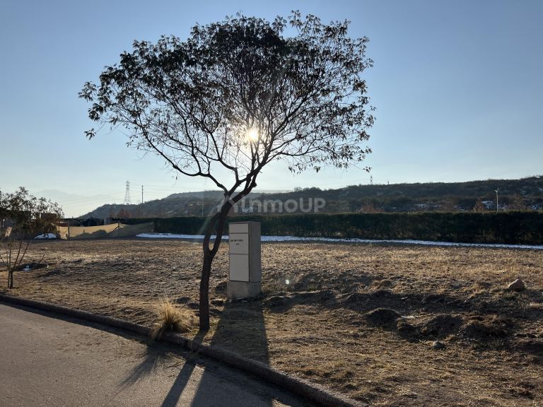 Lote en Venta en Lujan de Cuyo, Mendoza
