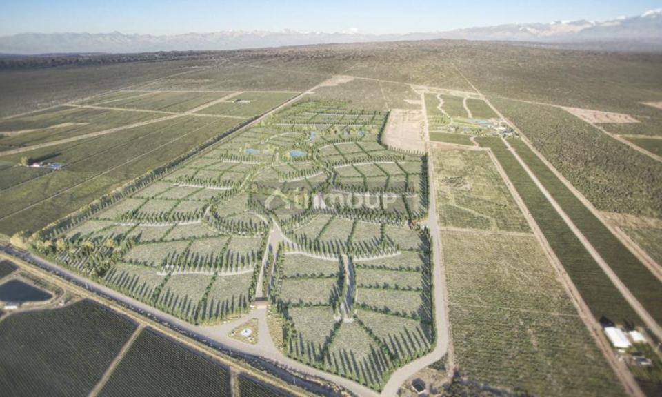 Lote en Venta en Lujan de Cuyo, Mendoza