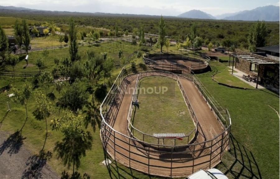 Lote en Venta en Lujan de Cuyo, Mendoza