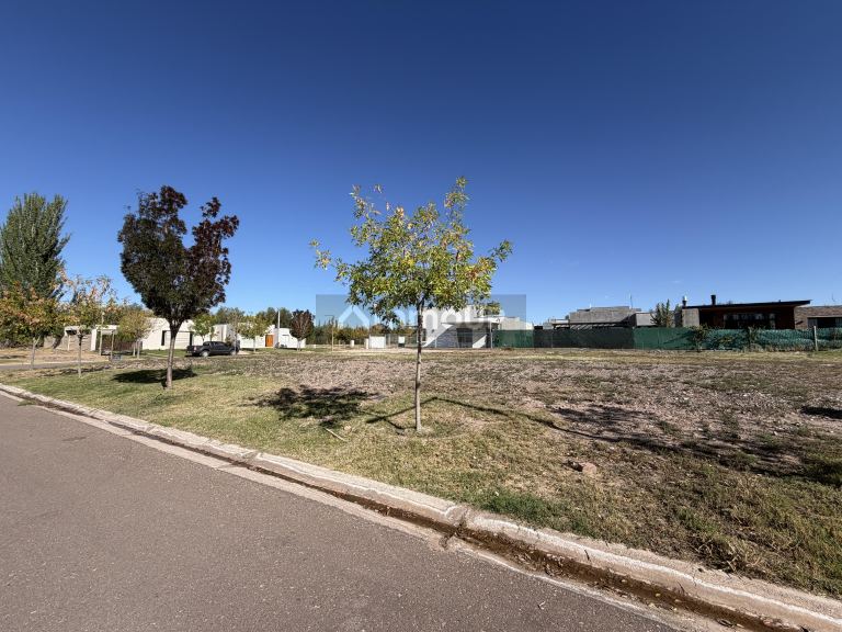 Lote en Venta en Lujan de Cuyo, Mendoza