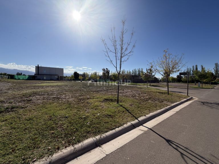 Lote en Venta en Lujan de Cuyo, Mendoza