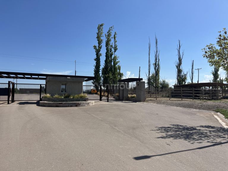 Lote en Venta en Lujan de Cuyo, Mendoza
