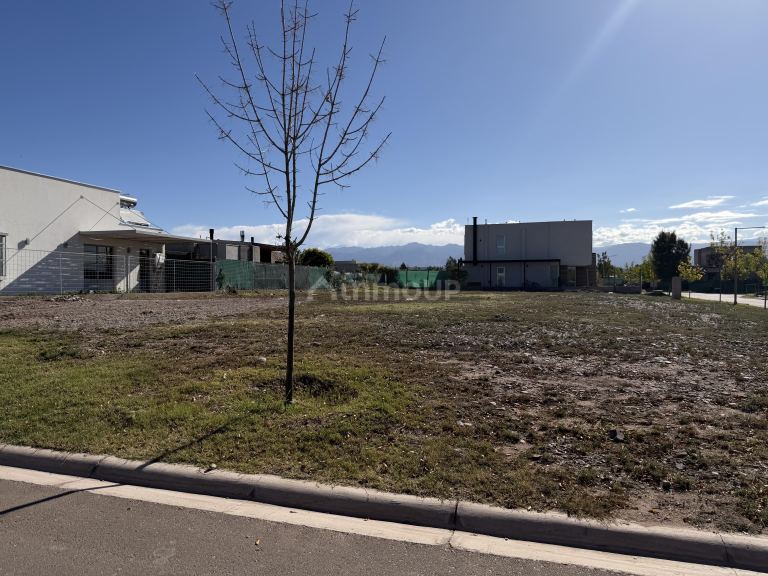 Lote en Venta en Lujan de Cuyo, Mendoza